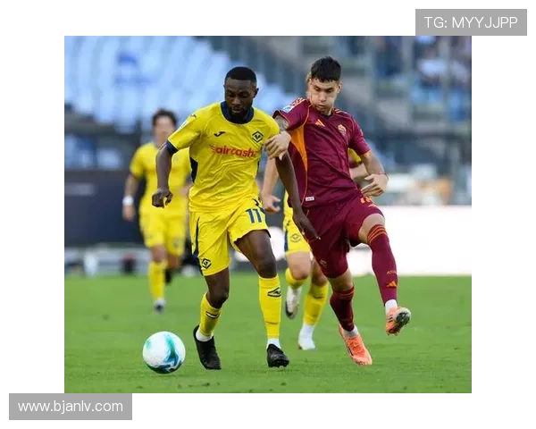 百年维罗纳足球俱乐部的荣耀传承与意甲征途新篇章历史文化与城市精神